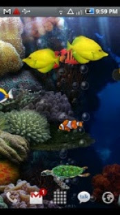 Fond Anime Aquarium Gratuit Sur Smartphone Et Tablette App Android
