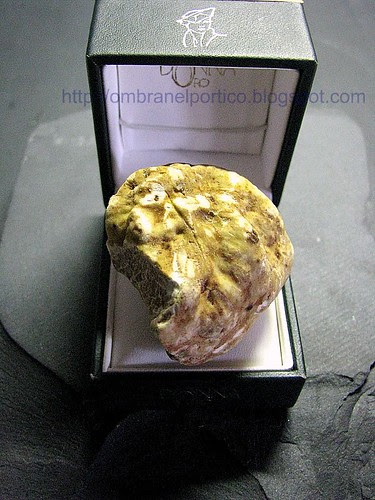 Tartufo d'Alba