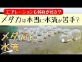 メダカ 水流 280040-メダカ 水流 逆らう