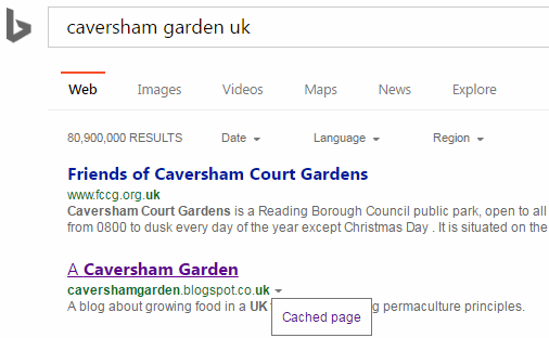 bing_cached_option