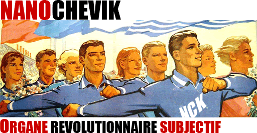 Nanochevik