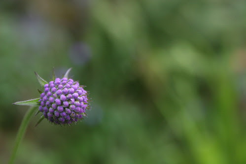 image uploader