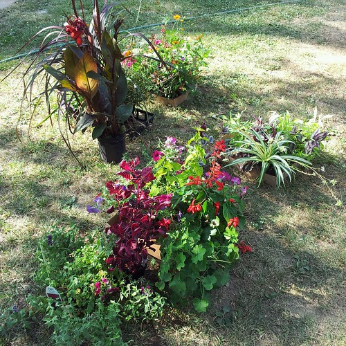 In need of intervention by Jaime Haney