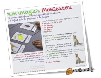 Fiches de lexique
