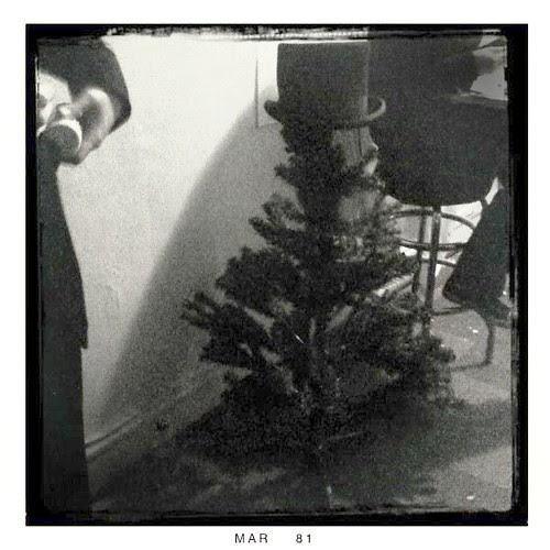 Top-hatted "Tekurujou" tree