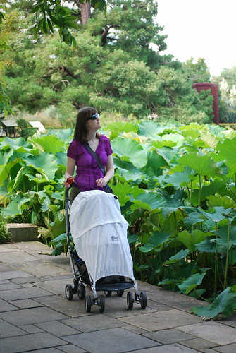 Posing with the stroller