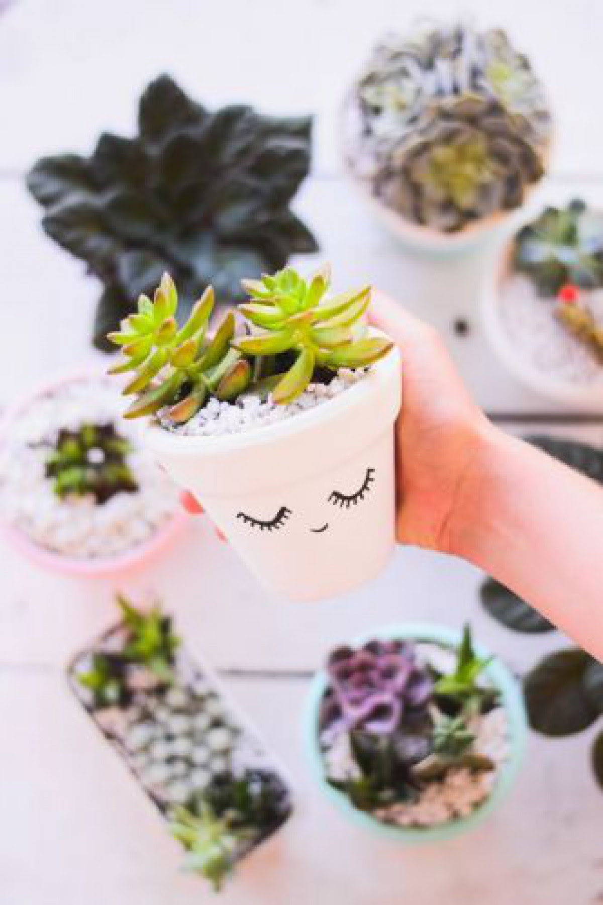 100均の植木鉢をお洒落にリメイク 話題の リメ鉢で緑のある暮らし コスメニュース びぃらぼ