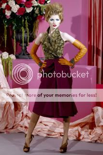 fashion show,spring 2010,christian dior