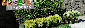 When Is The Best Time To Landscape Your Yard Download Videos Mp3 and Mp4