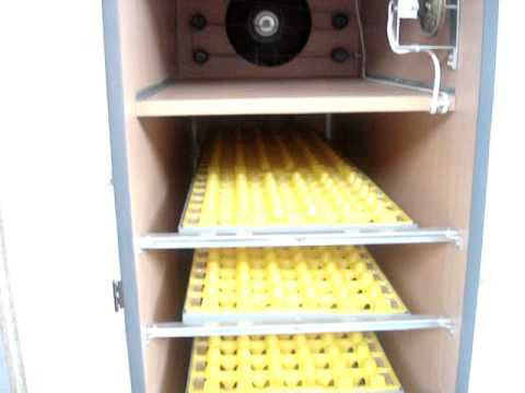 automatic egg incubator - YouTube
