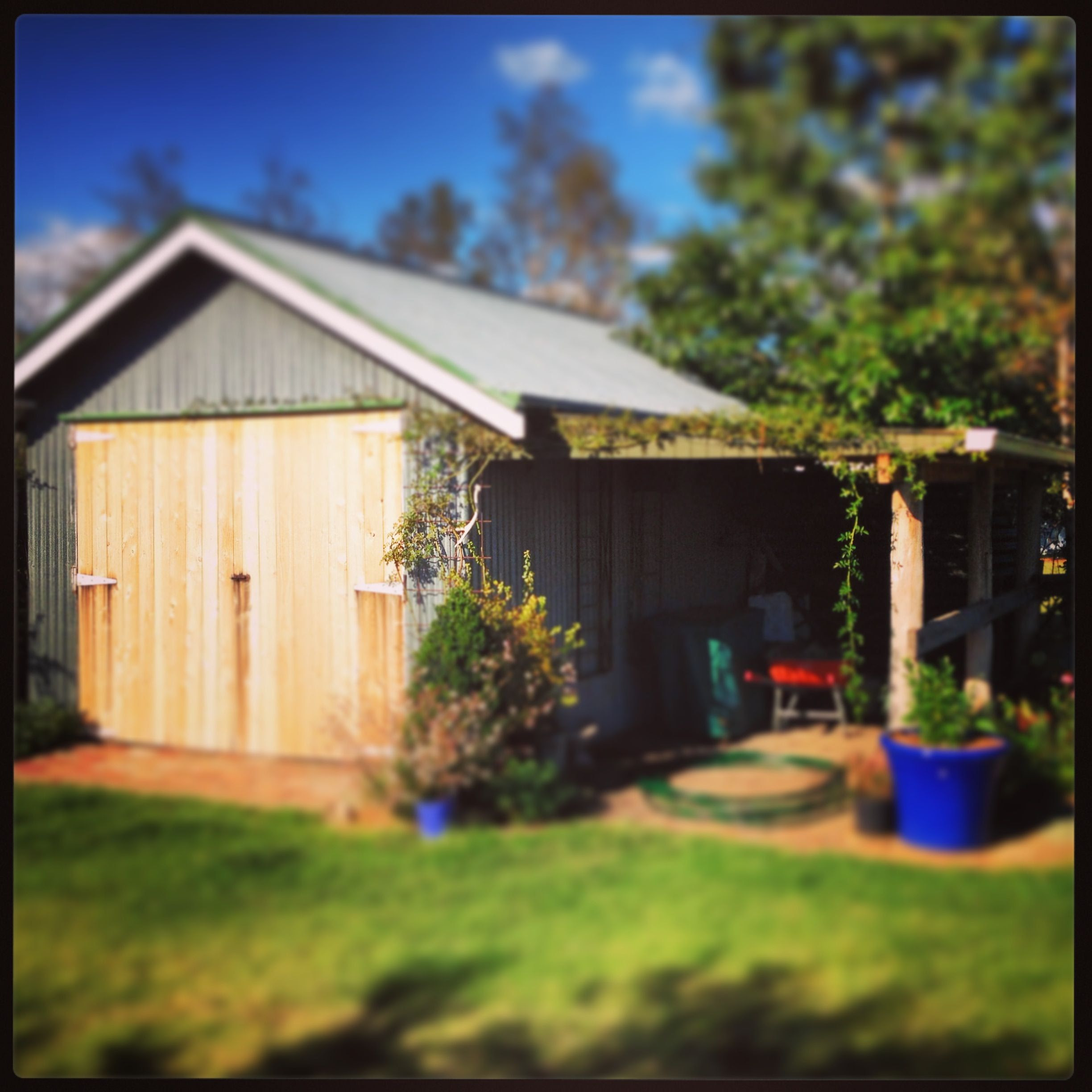 Sheds