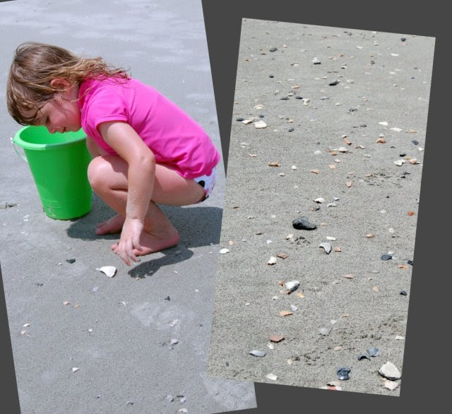 kooky seashell collage