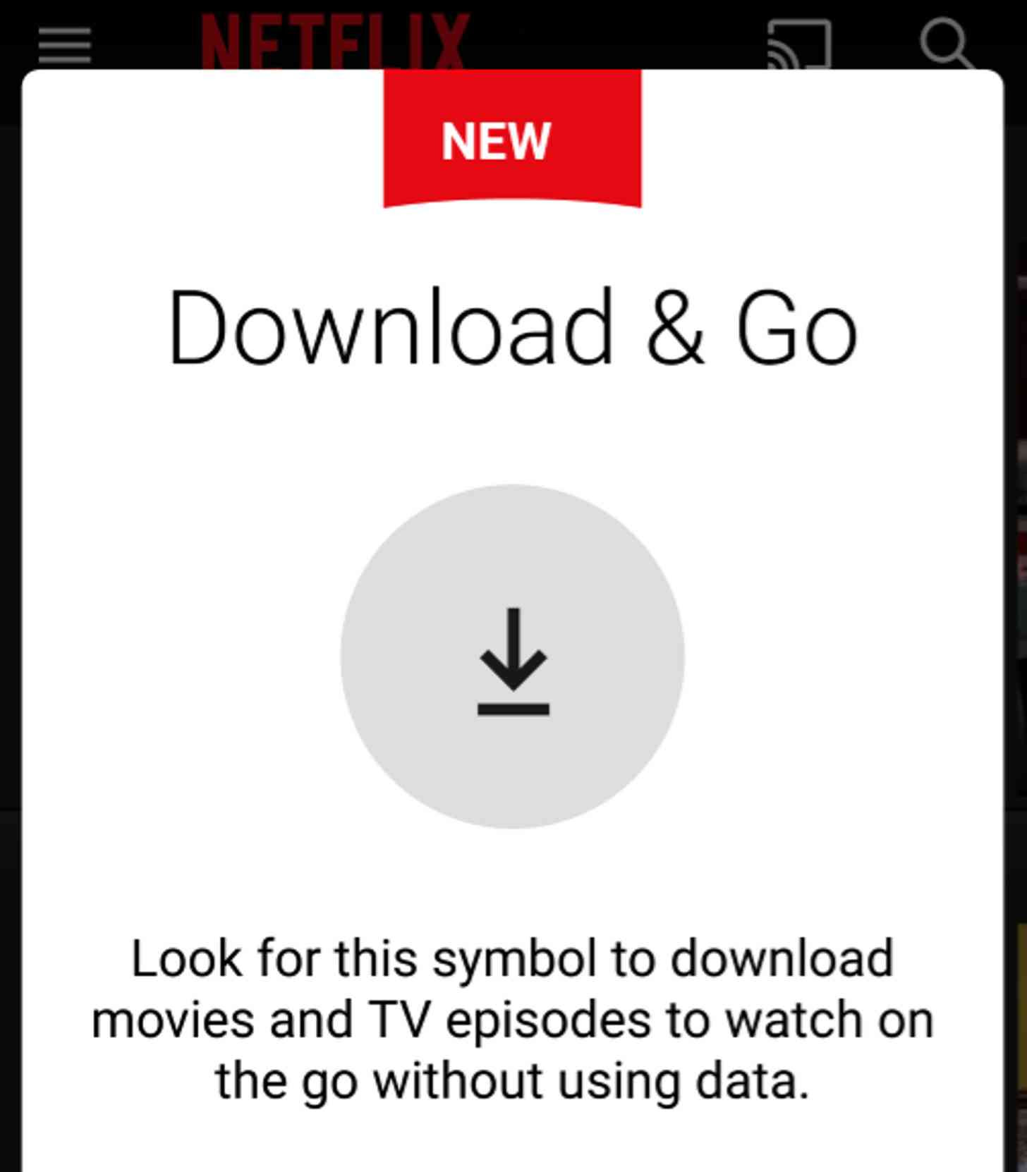 Netflix Download and Go