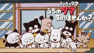 3丁目のタマ うちのタマ知りませんか 第2期 概要 あらすじ 主題歌 登場人物 声優 いっぱいアニメを楽しもう