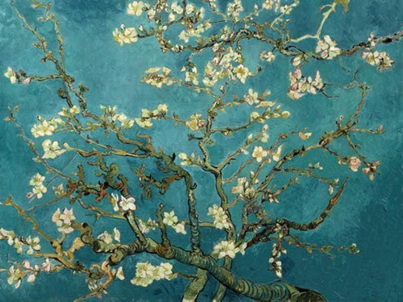 van gogh