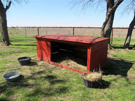 build  sheep  goat shelter farm goat shelters
