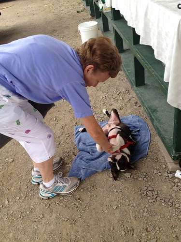 Petersburg Farmers Market July 13, 2013