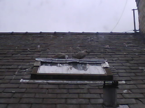 Photo 1276 1