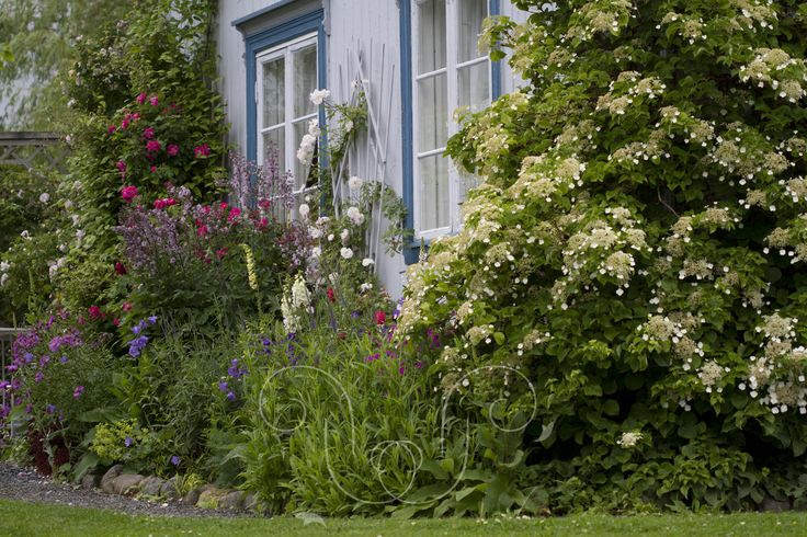 Dense with Cottage garden plants