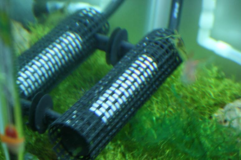 おじさんと熱帯魚と音楽と ヒーターカバー作ったど