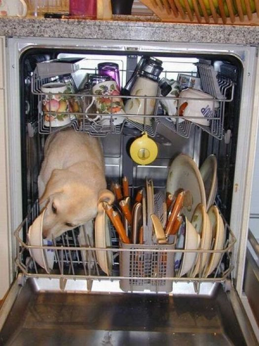 Imagens engraçadas e estranhas da Net 05