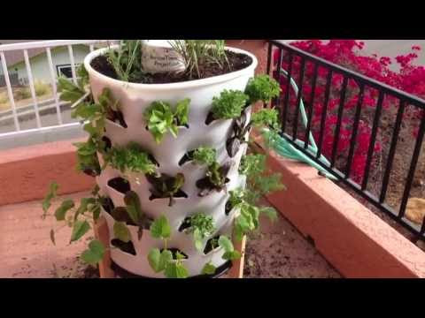 How To Set Up vertical Garden Tower part 1 . Grow your own ...