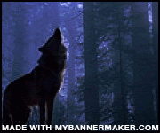 Create your own banner at mybannermaker.com!