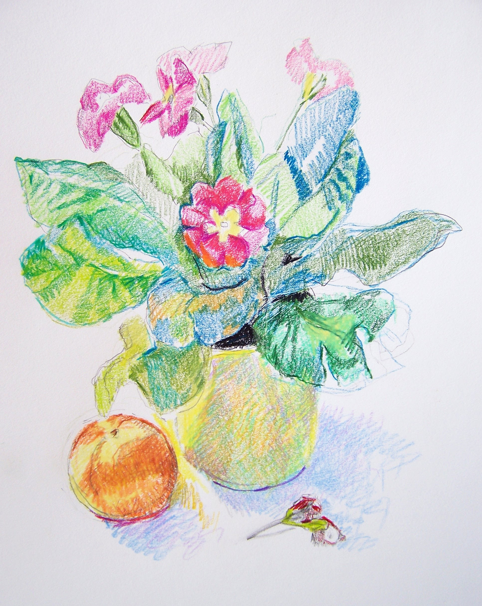 drawing a day  Aletha Kuschan39;s Weblog