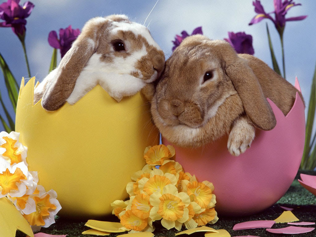 http://www.claufont.net/Sfondi/Feste/easter-wallpaper-003-1024.jpg