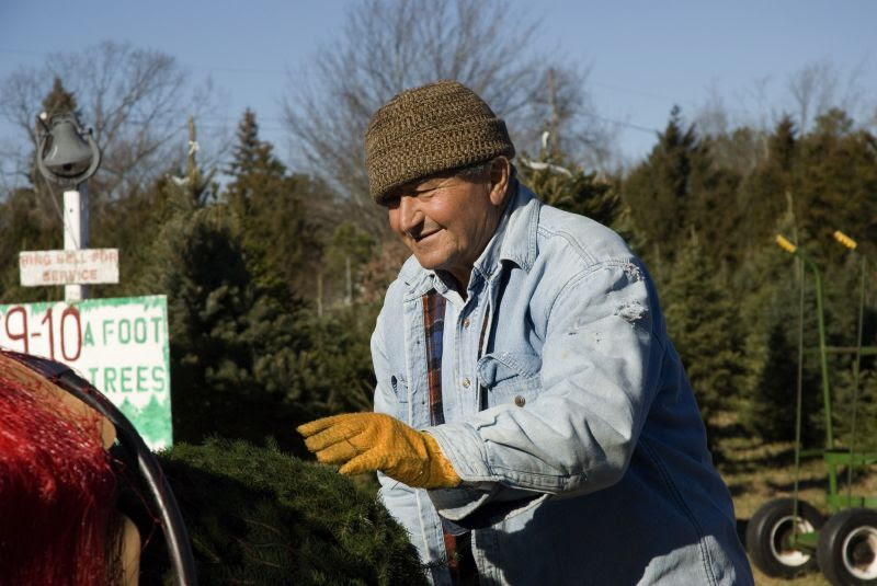 Mike's Trees
