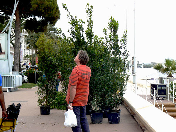 plantes.jpg