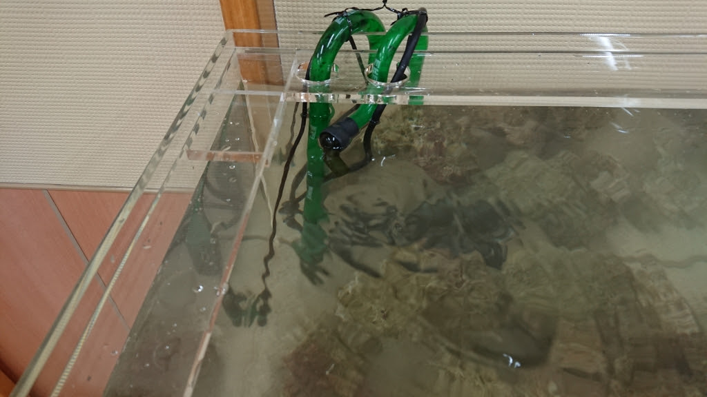 水槽 水槽台交換 ヒーリングアクアリウムt3ブログ