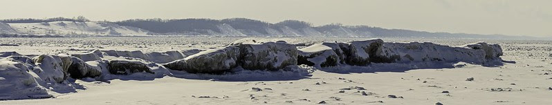 Indiana Dunes Shelf Ice