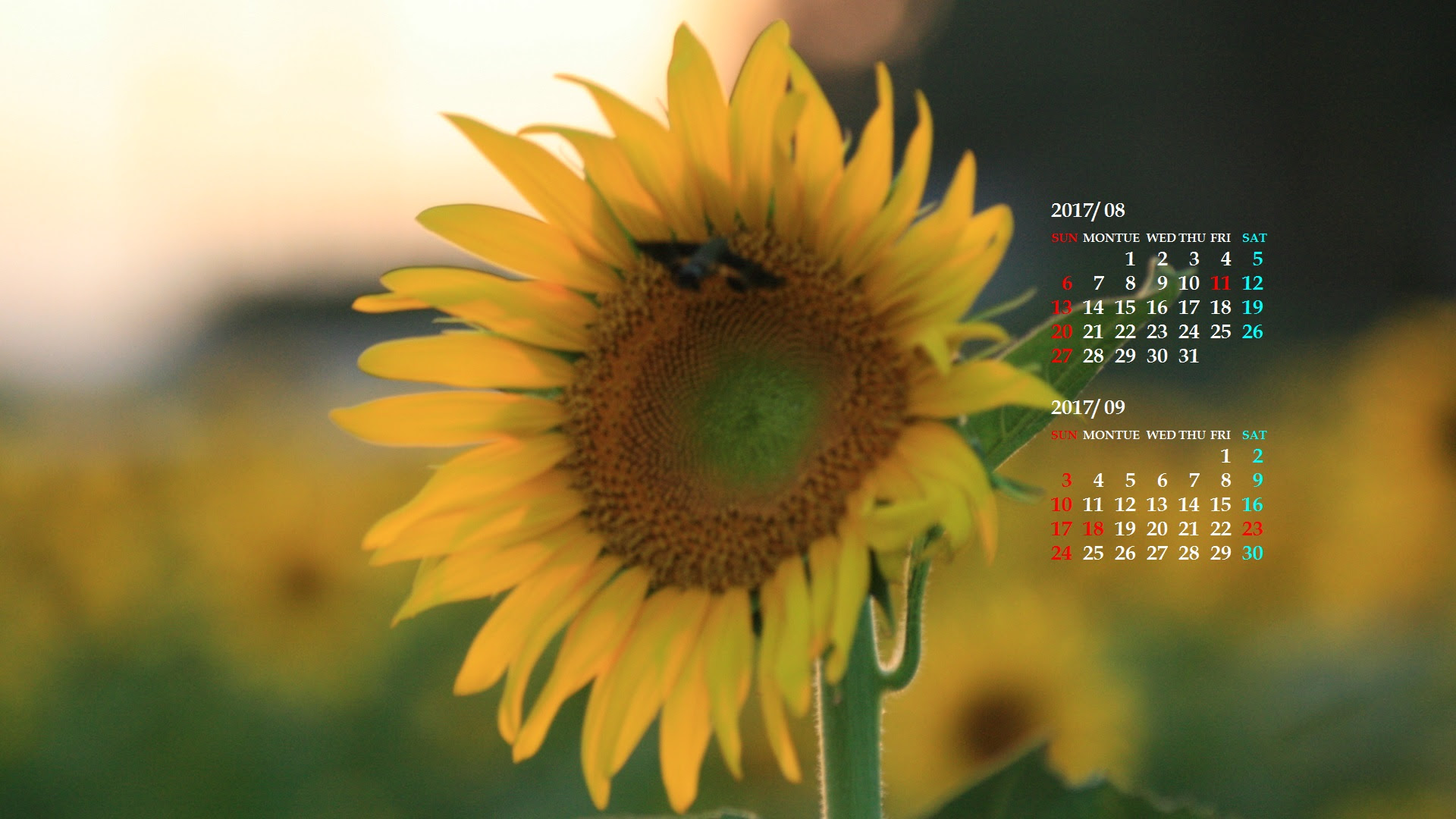 17年8月カレンダー壁紙 カレンダー壁紙館 昴 無料ワイド