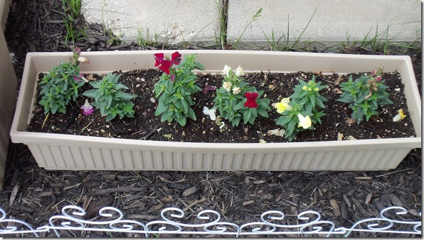 05-21-2017 GW03 (24)