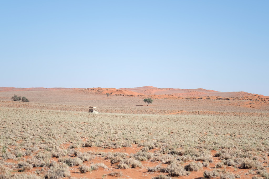 Luggage Requirements on Safari 