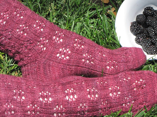 Blackberry Brambles