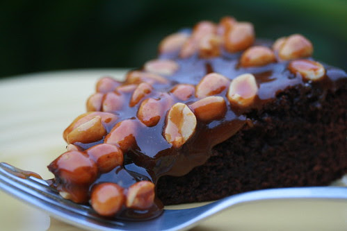 Caramel-Peanut-Topped Brownie Cake
