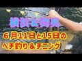 √70以上 ヘチ釣り peライン 334645-ヘチ釣り peライン おすすめ