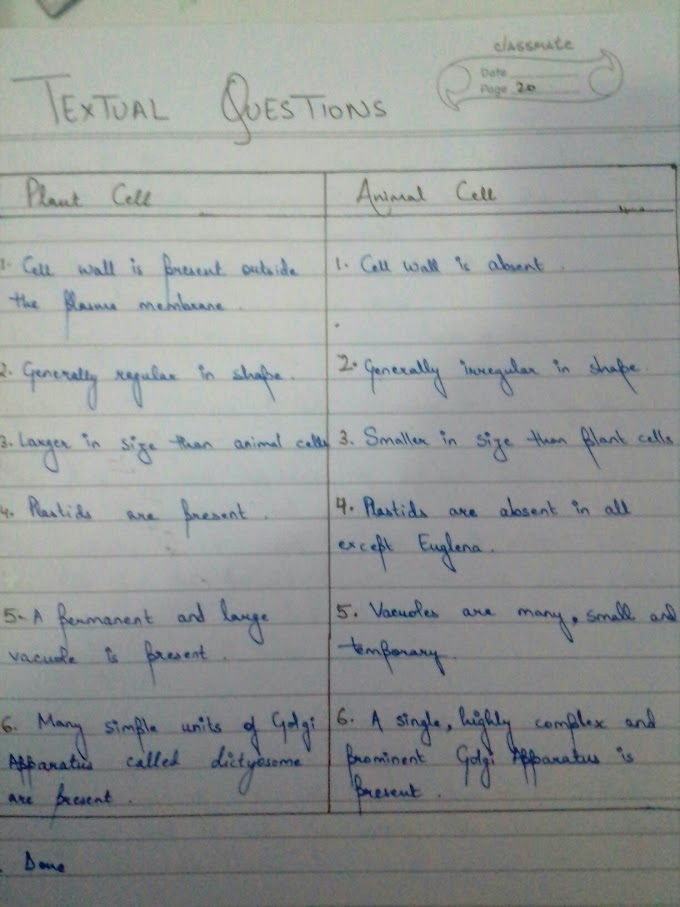 Difference Between Plant Cell And Animal Cell Short Answer / Plant Cell Diagram Crossword Answers Awesome Plant and ... - Maybe you would like to learn more about one of these?
