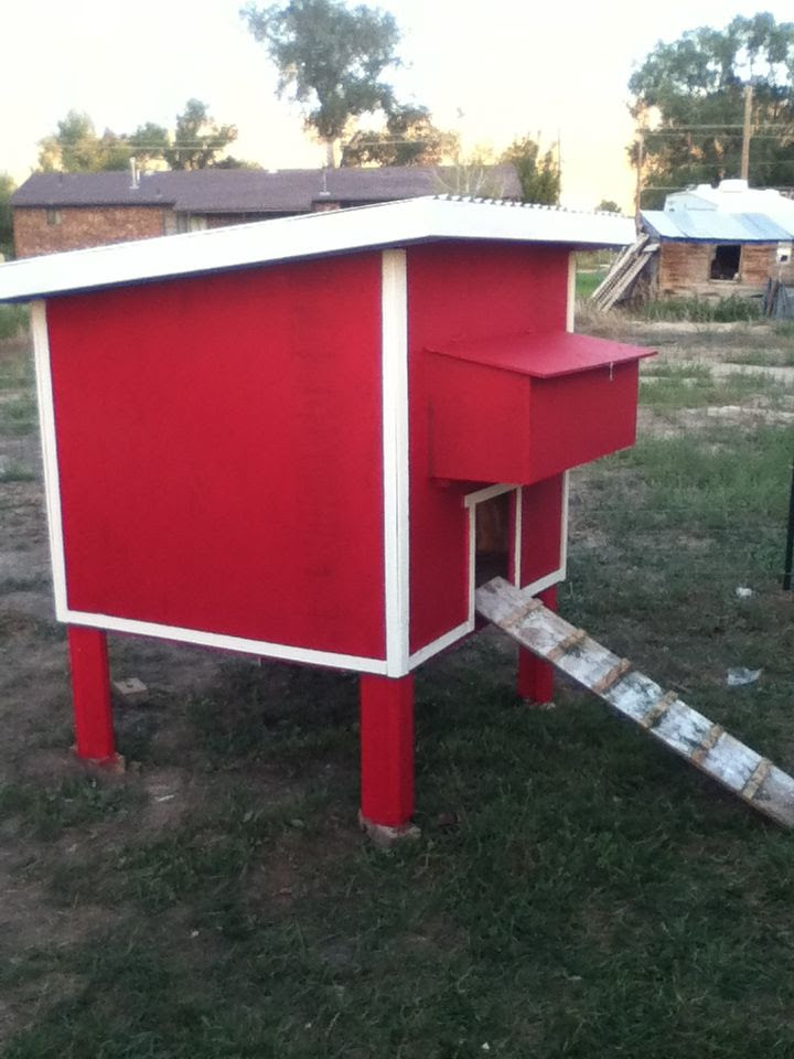 Purina chicken coop plans - The Garage Journal Board