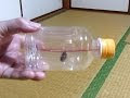 [ベスト] ペットボトル おもちゃ 622345-ペットボトル おもちゃ 水 腐る