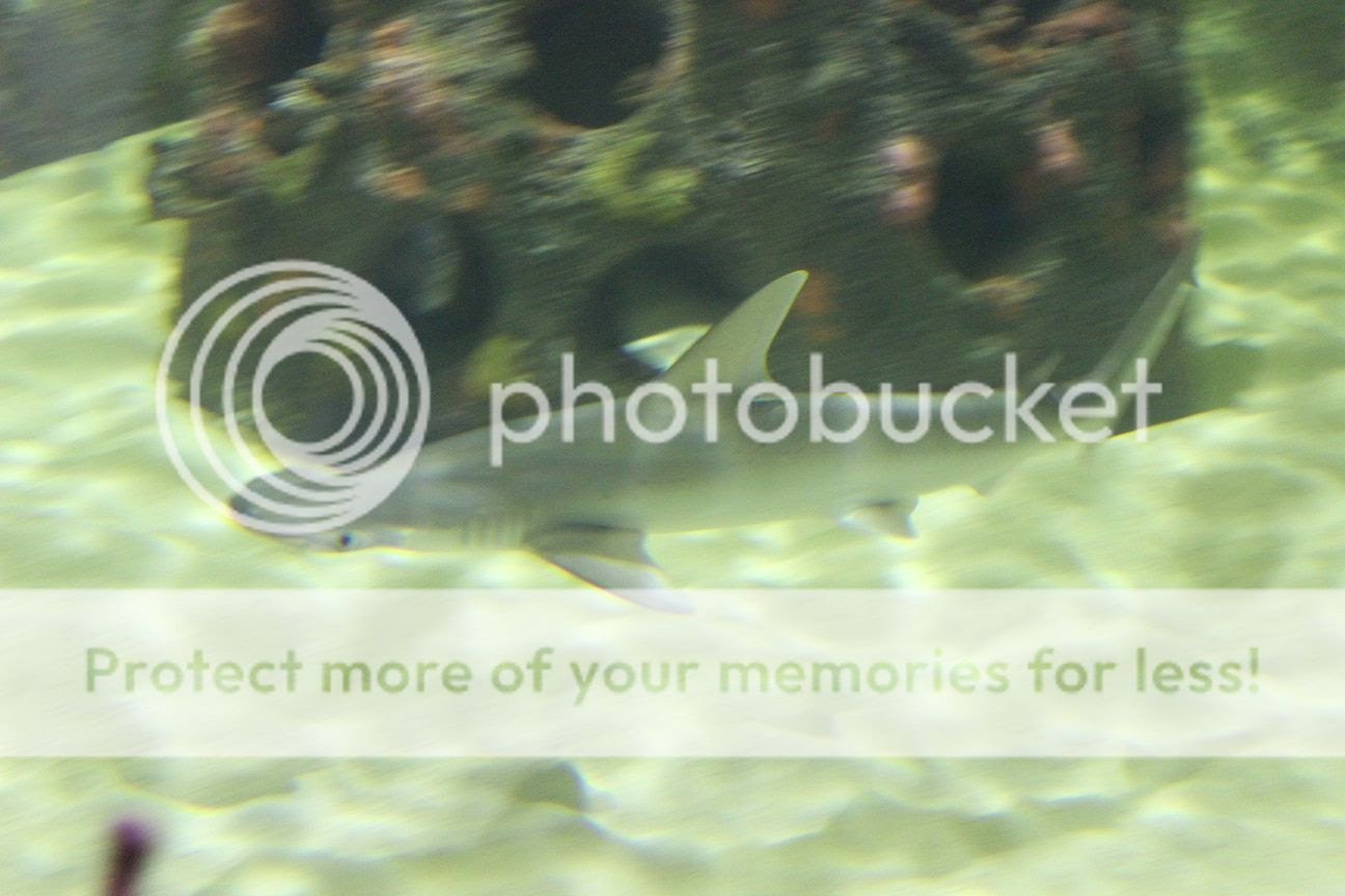 photo fieldtrip7_zpsb96pnyfn.jpg