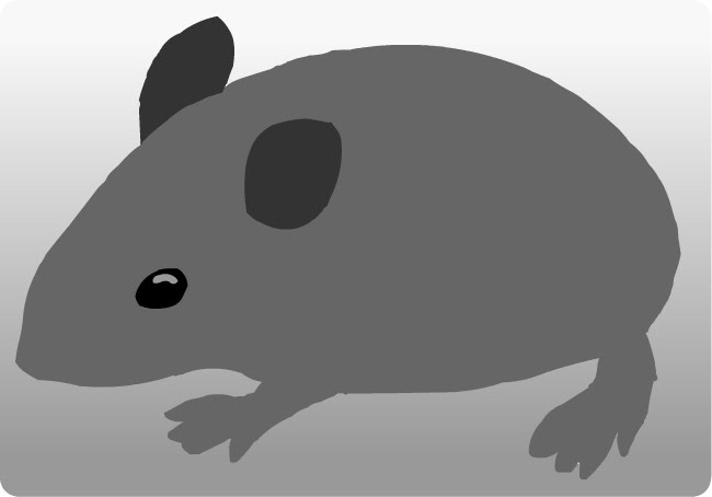 ネズミ 鼠 イラスト 無料 カピバラ
