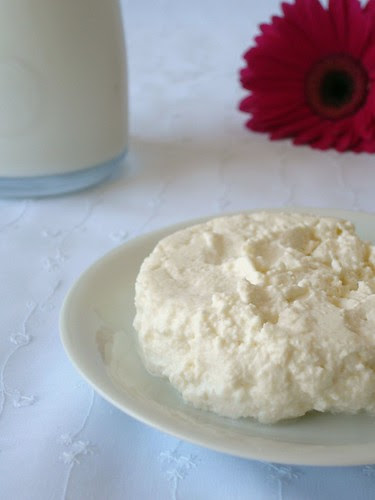 Homemade ricotta