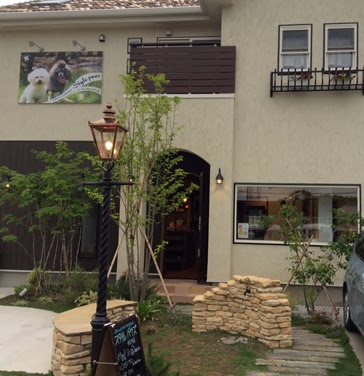スタイルパウズ伊奈本店 埼玉県伊奈町のペットショップ Paws Foglio パウズ フォリオ