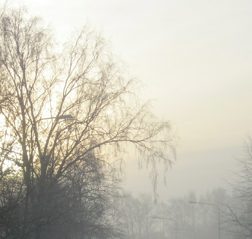Sumu