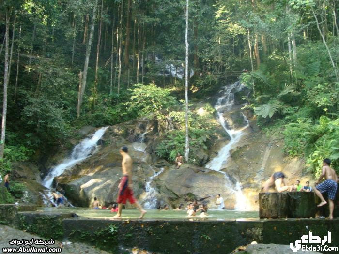 ماليزيا - يناير 2011