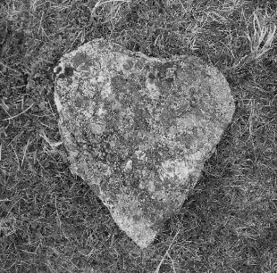 Granite shiner