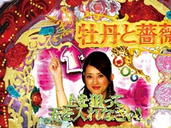 牡丹と薔薇 Rr パチンコ ボーダー 演出 信頼度 大当たり確率 プレミアムまとめ